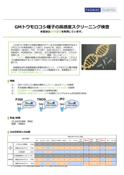 GMトウモロコシ種  の  感度スクリーニング検査