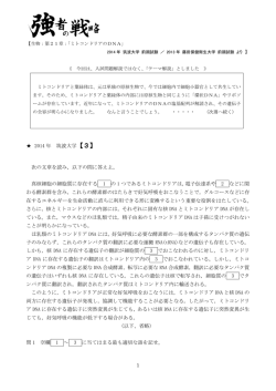 ミトコンドリアの DNA