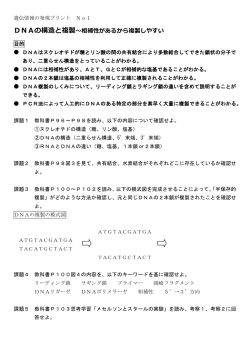 DNAの構造と複製～相補性があるから複製しやすい