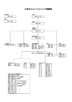 小金井リトル・リトルシニア組織図