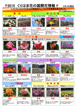 2015 くりはま花の国開花情報