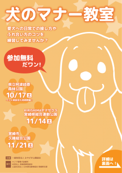 H27.10-11 犬のマナー教室 運動