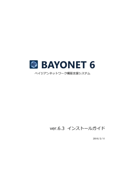BAYONET 6.2.1 インストールガイド