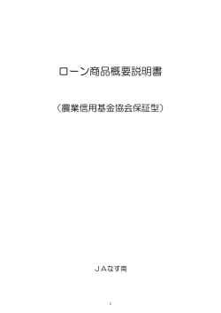 ローン商品概要説明書