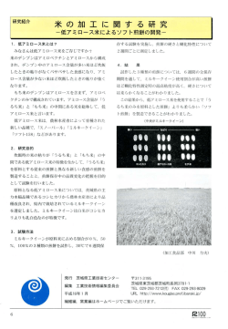 米の加工に関する研究 - 茨城県工業技術センター