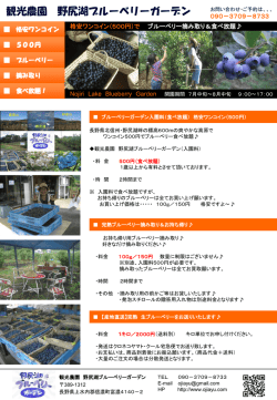 観光農園 野尻湖ブルーベリーガーデン