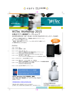 WITec Workshop 2015