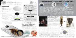 レーウェンフック式スマホ86顕微鏡