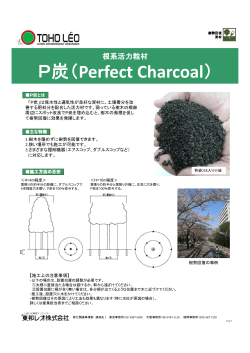 P炭（Perfect Charcoal）