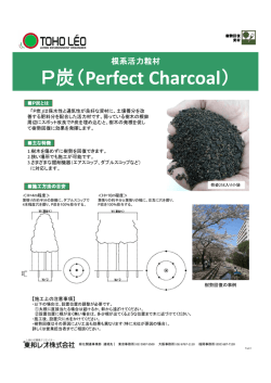 P炭（Perfect Charcoal）