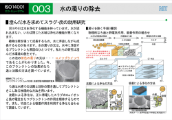 ー澄んナ…フkを求めてスラグ・炭の効用 "`