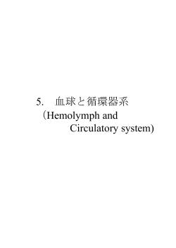 5. 血球と循環器系 （Hemolymph and Circulatory system)
