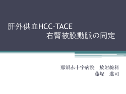 肝外供血HCC-TACE 右腎被膜動脈の同定