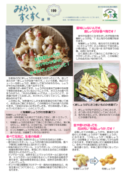 薬味じゃないんです。 新しょうがは食べ物です！ 色や香りが違っても 元