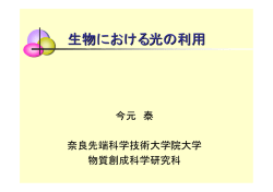 生物における光の利用（PDFファイル）