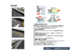 鳩忌避剤