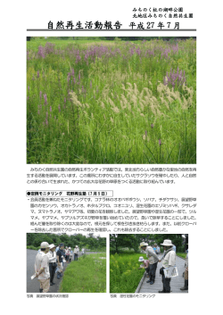 ボランティア活動