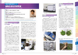 植物生理化学研究室 - 宇都宮大学 地域共生研究開発センター
