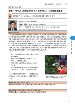 植物バイオによる生理活性プレニル化ポリフェノールの効率的生産 山本
