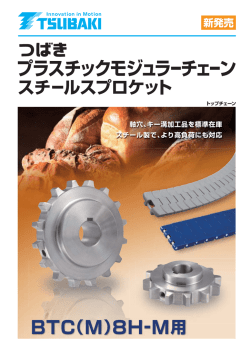 プラスチックモジュラーチェーン スチールスプロケット