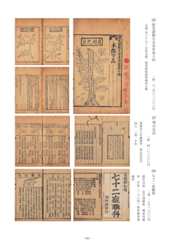 唐本類 - DTI