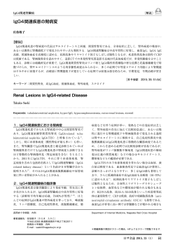 IgG4関連疾患の腎病変 - 日本サルコイドーシス／肉芽腫性疾患学会