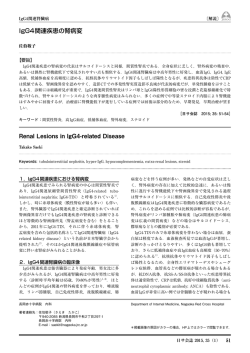 IgG4関連疾患の腎病変 - 日本サルコイドーシス／肉芽腫性疾患学会