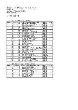 第3回 ﾆｭｰｲﾔｰ神戸ﾒﾘｹﾝﾊﾟｰｸﾘﾚｰﾏﾗｿﾝ 2015 2015