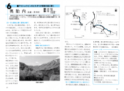 ーアカショウビンのさえずりが新緑の森に響く