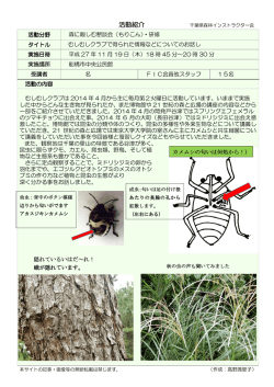 むしむしクラブで得られた情報などについてのお話し