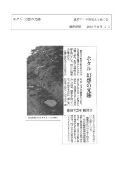 ホタル 幻想の光跡