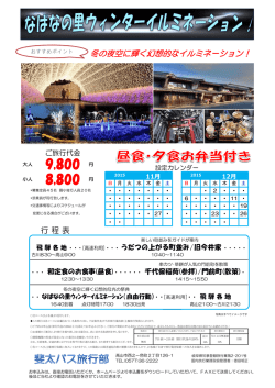 冬の夜空に輝く幻想的なイルミネーション！