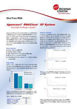 Agencourt® RNAClean® XP System