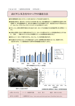 高ビタミンK含有モロヘイヤの栽培方法 - MATe（三重県農業技術情報