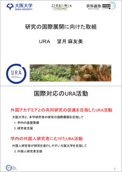 研究の国際展開に向けた取組