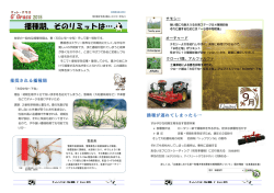 G`Grass2015⑦ 播種期、そのリミットは&hellip; (雪印種苗)