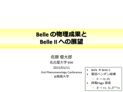 for Belle II
