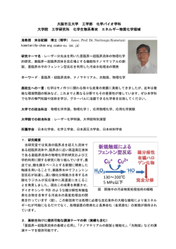 准教授 米谷 紀嗣 - 大阪市立大学 工学部・工学研究科