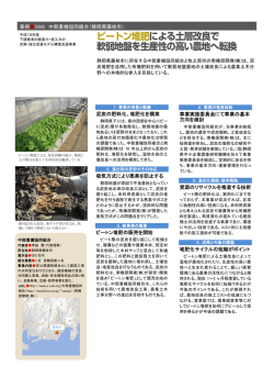 ピートン堆肥による土層改良で 軟弱地盤を生産性の高い農地へ転換