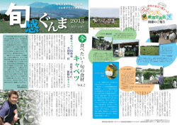 表A3サイズ（PDF975KB）