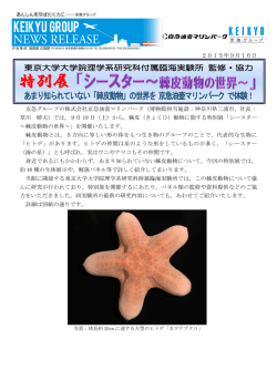 プレスリリース「特別展「シースター～棘皮動物の世界