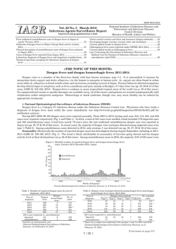 Dengue fever and dengue