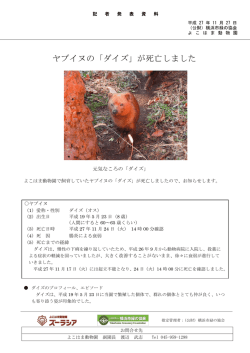 ヤブイヌの「ダイズ」が死亡しました