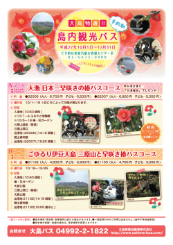 お問合せ 大島バス 04992-2-1822 ごゆるり伊豆大島 三原山と早咲き椿