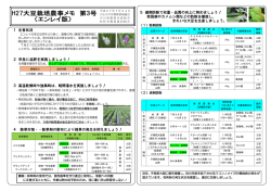 1 生育状況 2 早急に追肥を実施しましょう！ 3 高温