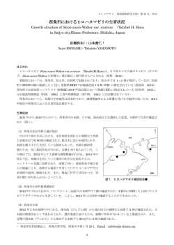 西条市におけるヒロハヌマゼリの生育状況