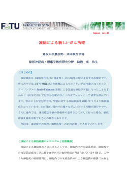 凍結による新しいがん治療 - 鳥取大学農学部附属動物医療センター
