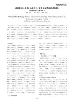 凍結乾燥法を用いる新規ナノ構造体製造技術（第2報） －無機粒子との