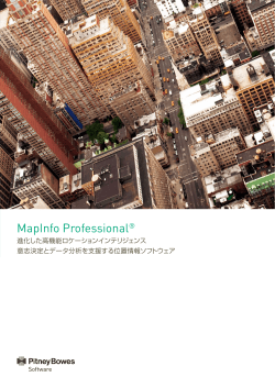 PDF/2.00MB - MapInfo Japan