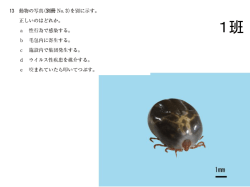 H27国試問題ウイルス学
